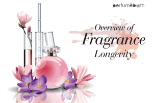 Perfume for Men and Women